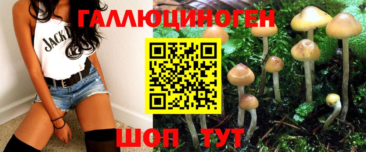 Наро-Фоминск  Псилоцибиновые грибы Magic Shrooms  Вход с VPN 