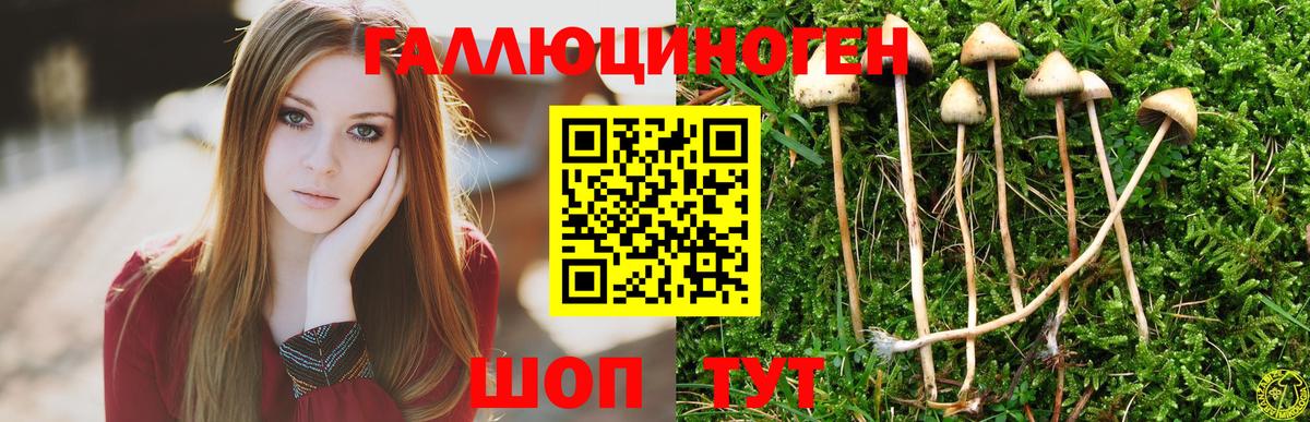 Псилоцибиновые грибы прущие грибы Наро-Фоминск